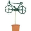 Bicycle (Ligustrum Delavayanum) -Groene Wereld 20060529163904 1